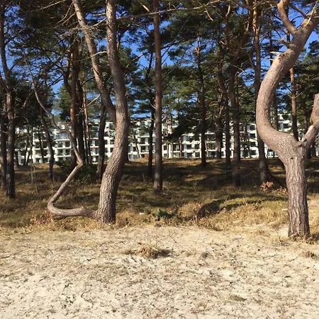 Apartmán Strandresidenz Tordalk A23 Inklusive 1 Strandkorb Binz
